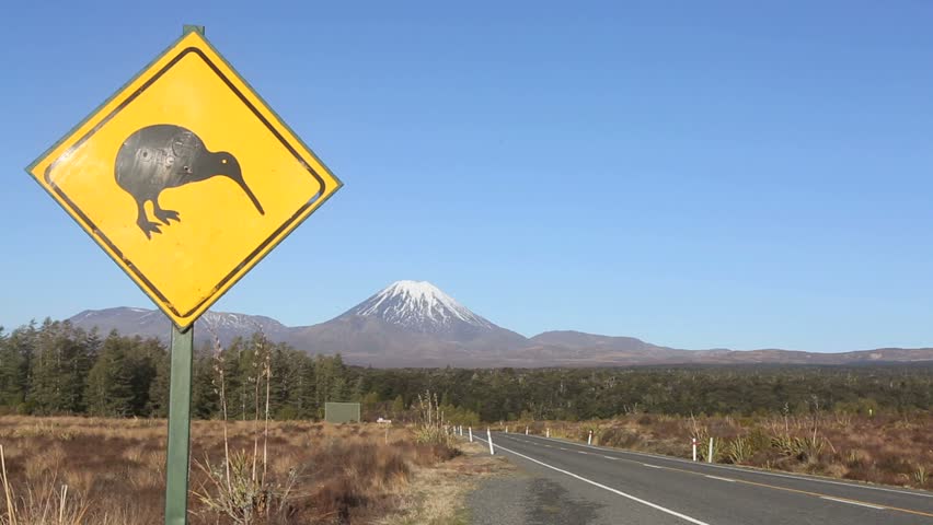 Kiwi Road Sign and Passing Stockvideos & Filmmaterial (100 % lizenzfrei