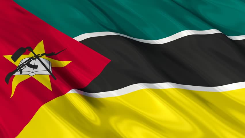 Image result for mozambique flag