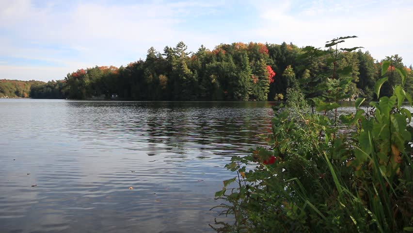 Header of ostler
