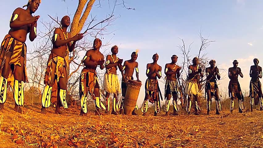 Страсть африканских аборигенов на огромном дереве