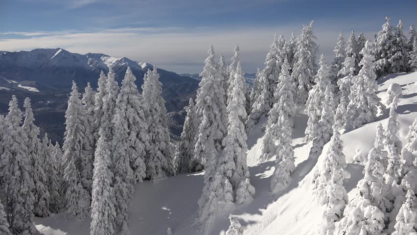 4k Snow Fairytale Winter Scene Stock Footage 100 Royalty Free 8537557 Shutterstock