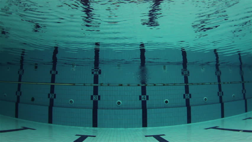 Olympic Swimming Pool Stock Video Footage Olympic Swimming Pool Stock Video Footage